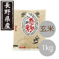 長野県産感動の米コシヒカリ玄米(1kg)