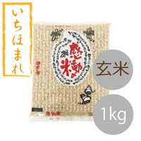 福井県産感動の米いちほまれ玄米(1kg)