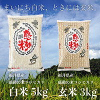 まいにち白米、ときには玄米。